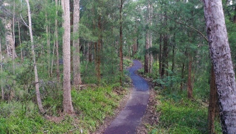 Valley of the Giants – Path Refurbishment & Construction